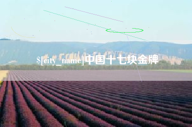 昆明中国十七块金牌