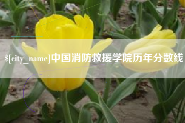 昆明中国消防救援学院历年分数线
