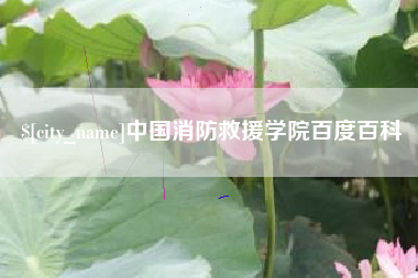 昆明中国消防救援学院百度百科