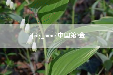 昆明中国第9金