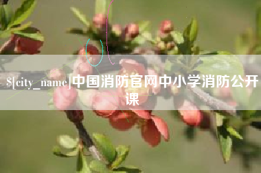 昆明中国消防官网中小学消防公开课
