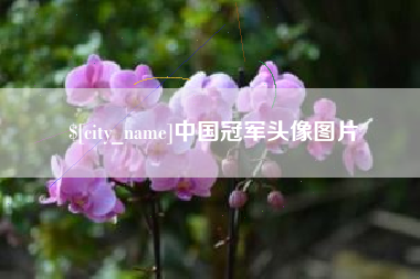 昆明中国冠军头像图片