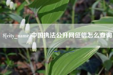 昆明中国执法公开网征信怎么查询
