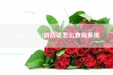昆明消防证怎么查询系统