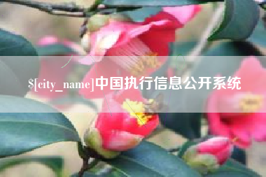 昆明中国执行信息公开系统