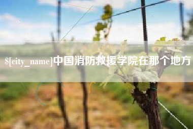 昆明中国消防救援学院在那个地方