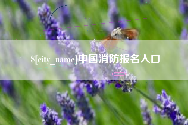 昆明中国消防报名入口