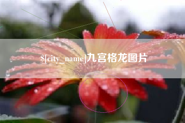 昆明九宫格龙图片