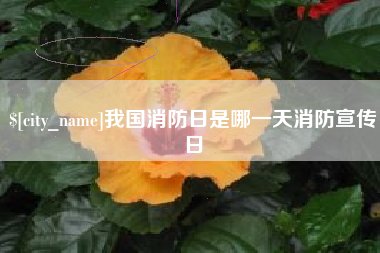 昆明我国消防日是哪一天消防宣传日