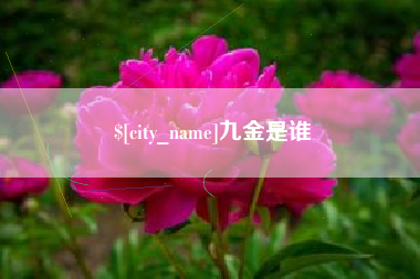 昆明九金是谁