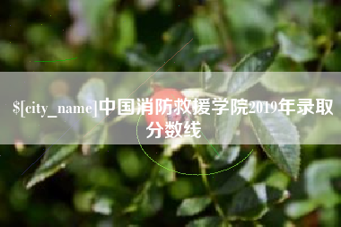 昆明中国消防救援学院2019年录取分数线
