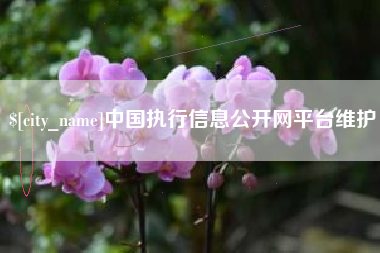昆明中国执行信息公开网平台维护