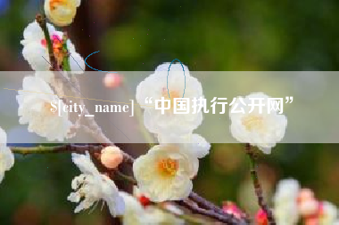昆明“中国执行公开网”