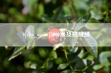昆明5000米及格成绩