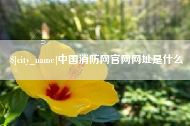 昆明中国消防网官网网址是什么