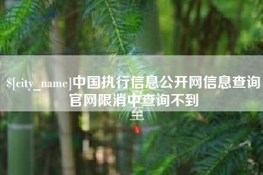 昆明中国执行信息公开网信息查询官网限消中查询不到
