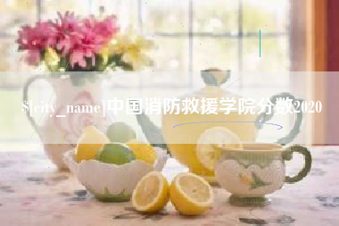 昆明中国消防救援学院分数2020