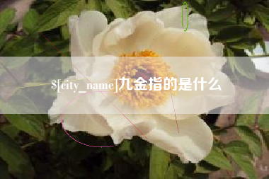 昆明九金指的是什么