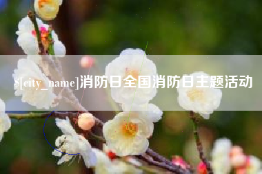 昆明消防日全国消防日主题活动