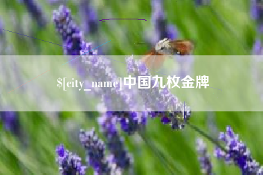 昆明中国九枚金牌
