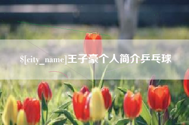 昆明王子豪个人简介乒乓球