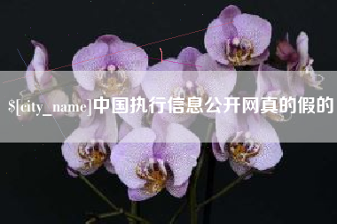 昆明中国执行信息公开网真的假的