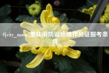 昆明重庆消防设施操作员证报考条件