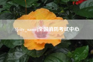 昆明全国消防考试中心