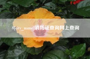 昆明消防证查询网上查询