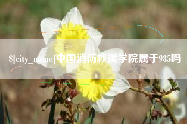 昆明中国消防救援学院属于985吗
