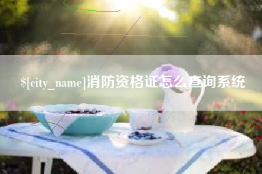昆明消防资格证怎么查询系统