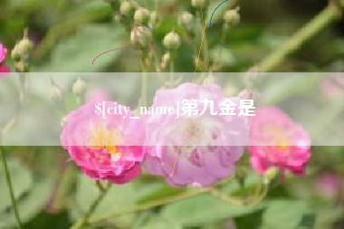 昆明第九金是