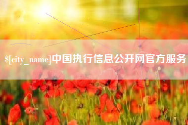 昆明中国执行信息公开网官方服务