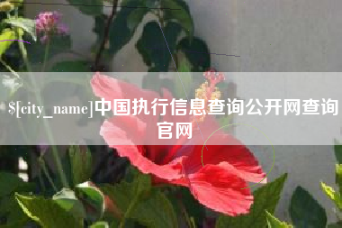 昆明中国执行信息查询公开网查询官网