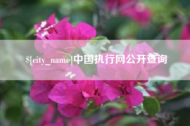 昆明中国执行网公开查询