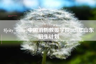 昆明中国消防救援学院2021年山东招生计划