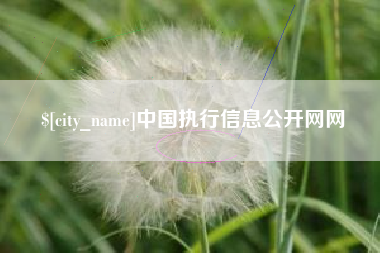 昆明中国执行信息公开网网