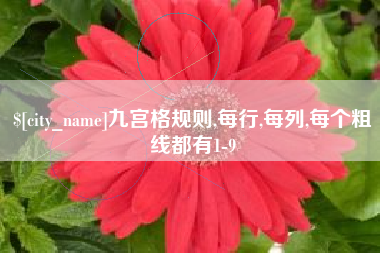 昆明九宫格规则,每行,每列,每个粗线都有1-9