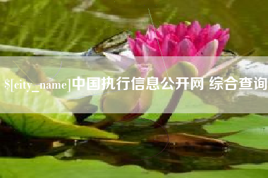 昆明中国执行信息公开网 综合查询