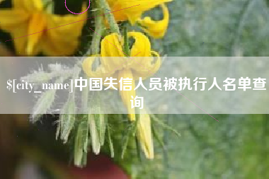 昆明中国失信人员被执行人名单查询