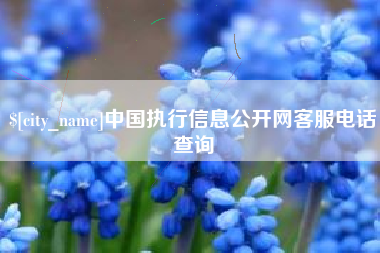 昆明中国执行信息公开网客服电话查询