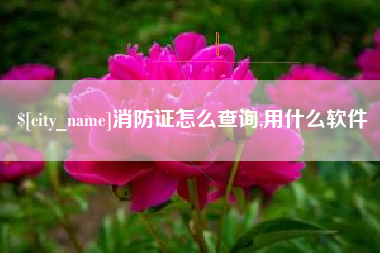 昆明消防证怎么查询,用什么软件