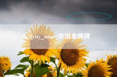 昆明中国金牌牌