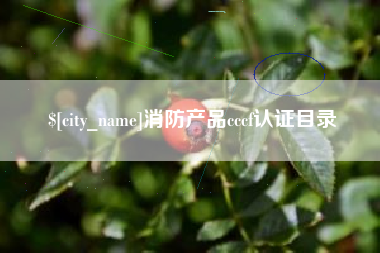 昆明消防产品cccf认证目录
