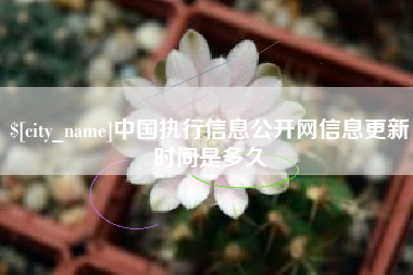 昆明中国执行信息公开网信息更新时间是多久
