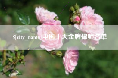 昆明中国十大金牌律师名单