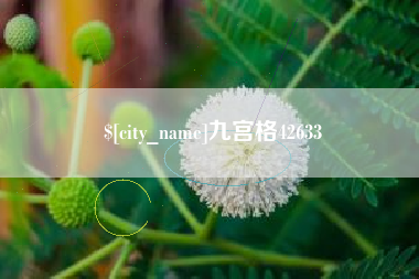 昆明九宫格42633