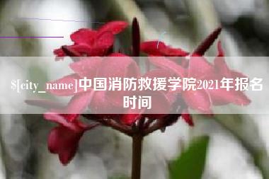 昆明中国消防救援学院2021年报名时间