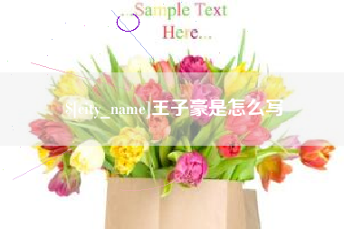 昆明王子豪是怎么写