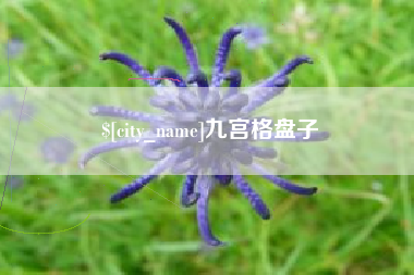昆明九宫格盘子